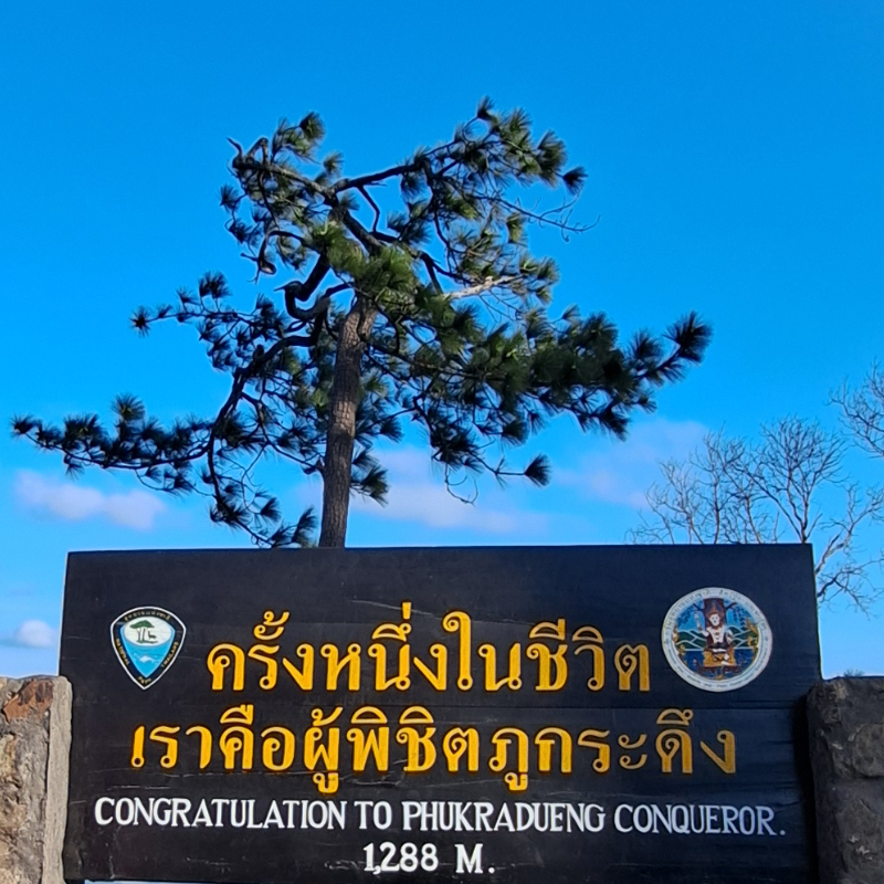 ทัวร์ภูกระดึง เที่ยวภูกระดึง จ.เลย [พักเต็นท์] 4 วัน 2 คืน (Van)