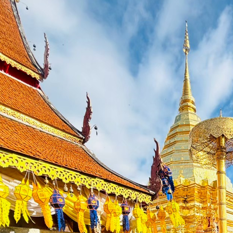 ทัวร์เชียงใหม่ ดอยอินทนนท์ ม่อนแจ่ม แม่กำปอง 4 วัน 2 คืน (Van)