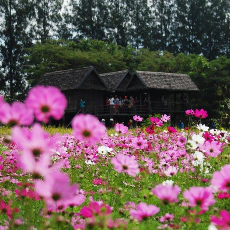 ทัวร์วังน้ำเขียว สวิตเซอร์แลนด์แดนอีสาน โอโซนอันดับ 7 ของโลก 2 วัน 1 คืน (Van)
