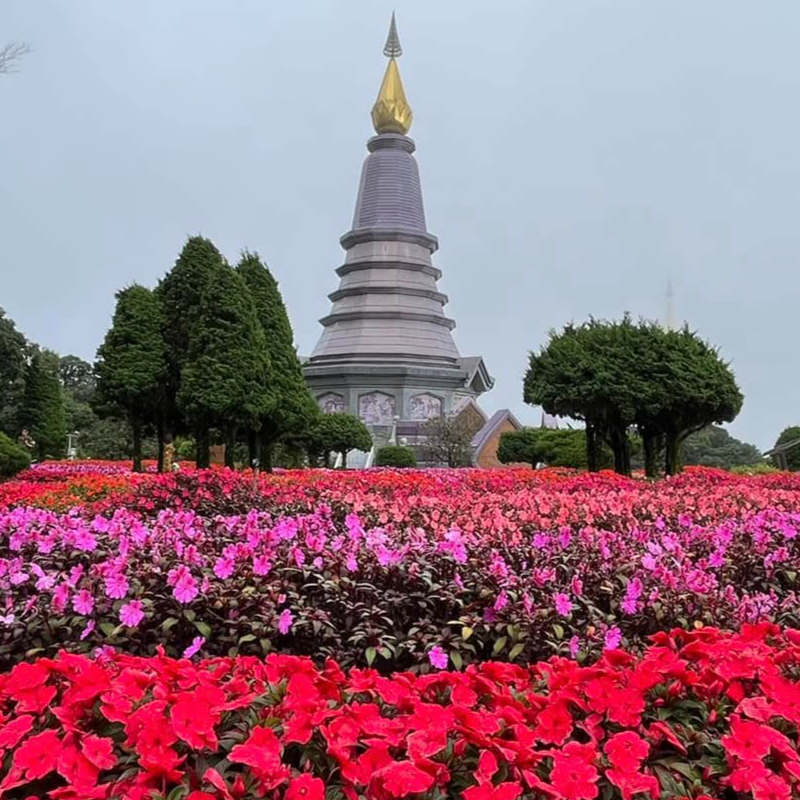 โปรแกรมทัวร์เชียงใหม่ ม่อนแจ่ม ปาย ปางอุ๋ง แม่ฮ่องสอน 5 วัน 4 คืน (FD)