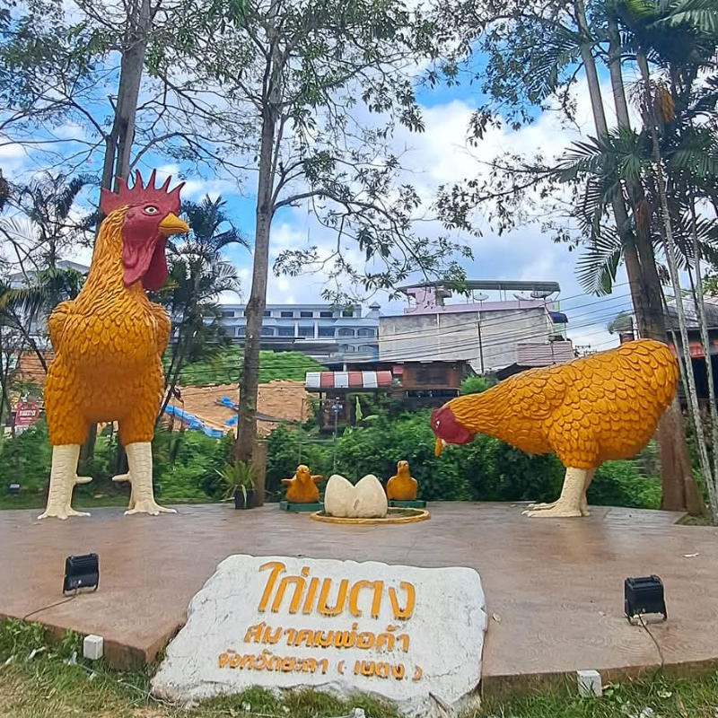 โปรแกรมทัวร์ บินตรง...เบตง เที่ยวเต็มอิ่ม ทะเลหมอกอัยเยอร์เวง 4 วัน 3 คืน (DD)
