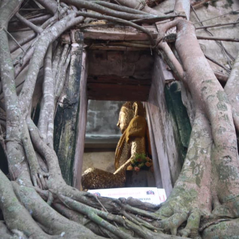 ทัวร์ไหว้พระ 9 วัด ตลาดน้ำอัมพวา จ.สมุทรสงคราม [One Day Trip] 1 วัน (Van)