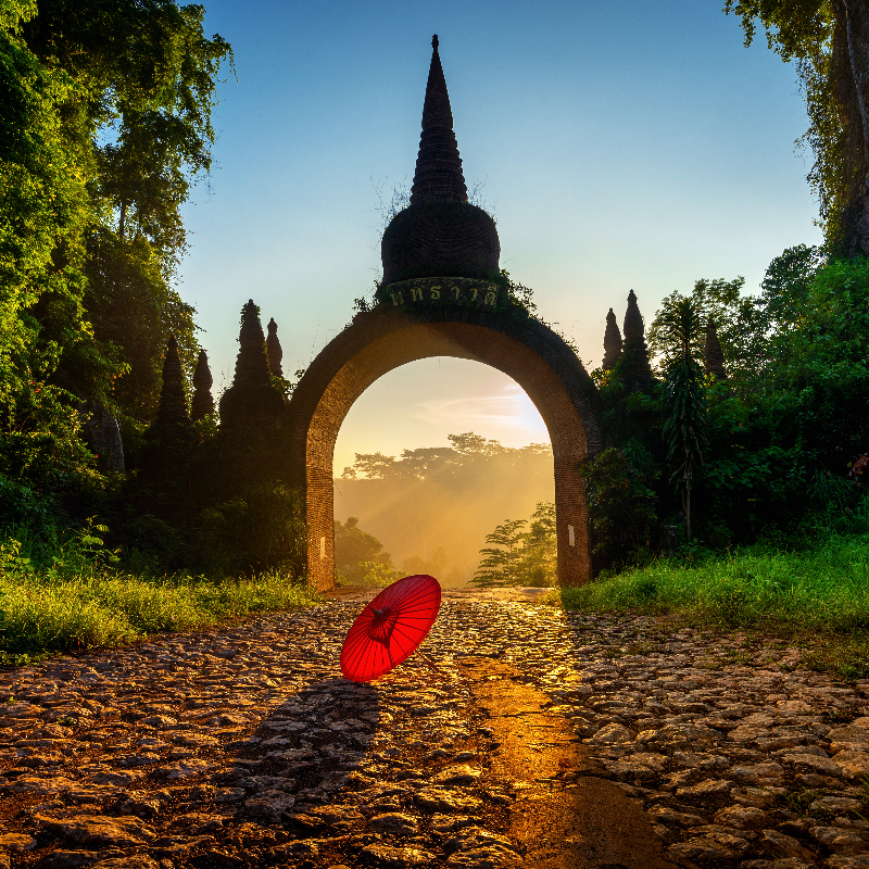 ทัวร์เขื่อนเชี่ยวหลาน กุ้ยหลินเมืองไทย อุทยานธรรมเขานาในหลวง ป่าต้นน้ำบ้านน้ำราด 4 วัน 2 คืน (Van)
