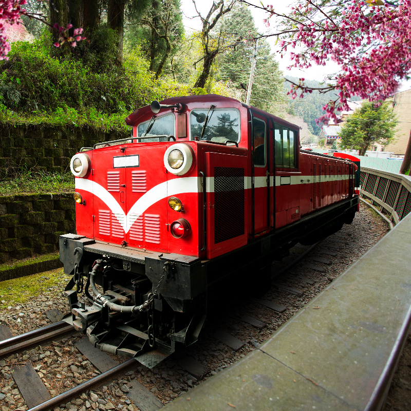 โปรแกรมทัวร์ไต้หวัน ไทจง เจียอี้ นั่งรถไฟอาลีซาน ชมดอกไม้ บูราโน่แห่งไต้หวัน 5 วัน 3 คืน (CI)