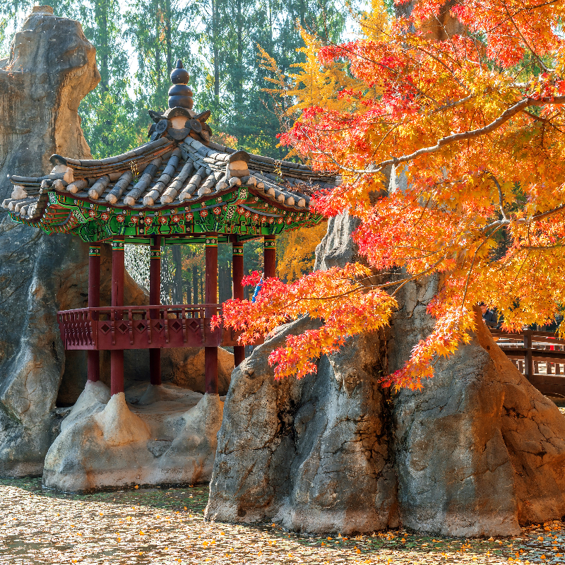 ทัวร์เกาหลี โซล ซูวอน เกาะนามิ ยงอิน เอเวอร์แลนด์ 5 วัน 3 คืน (ZE)