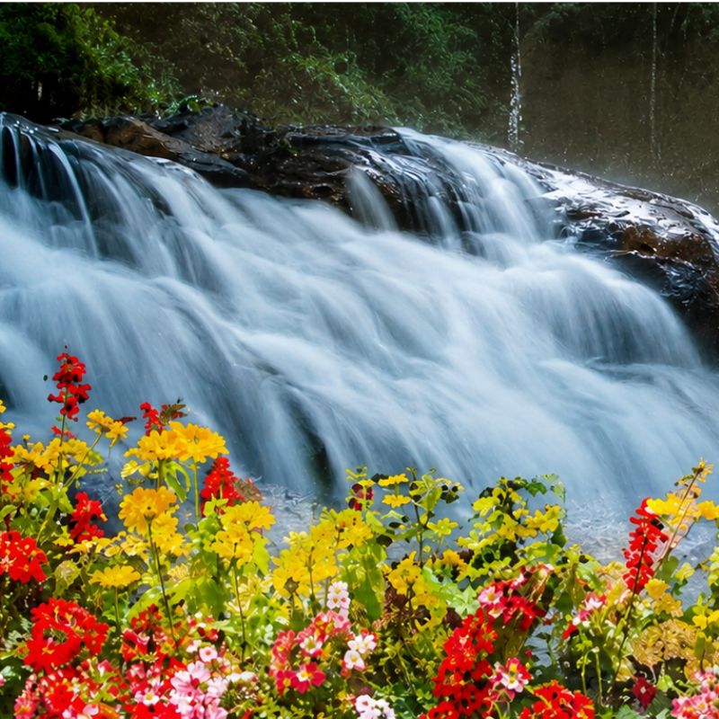 ทัวร์เวียดนามใต้ ดาลัด สวนดอกไม้เมืองหนาว 3 วัน 2 คืน (VZ)