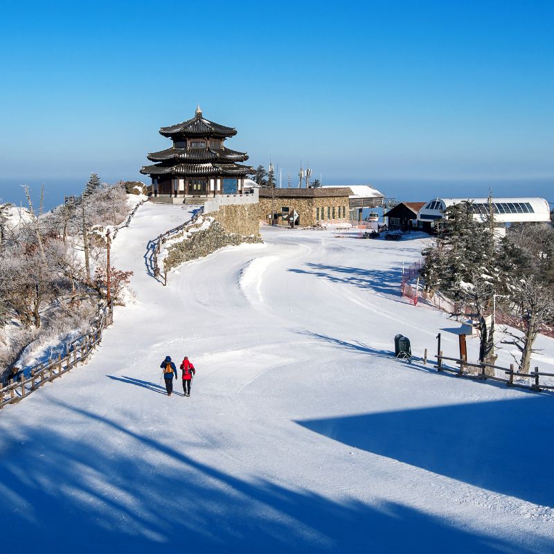 โปรแกรมทัวร์เกาหลี KOREA SNOWING SKI 5 วัน 3 คืน (BX)
