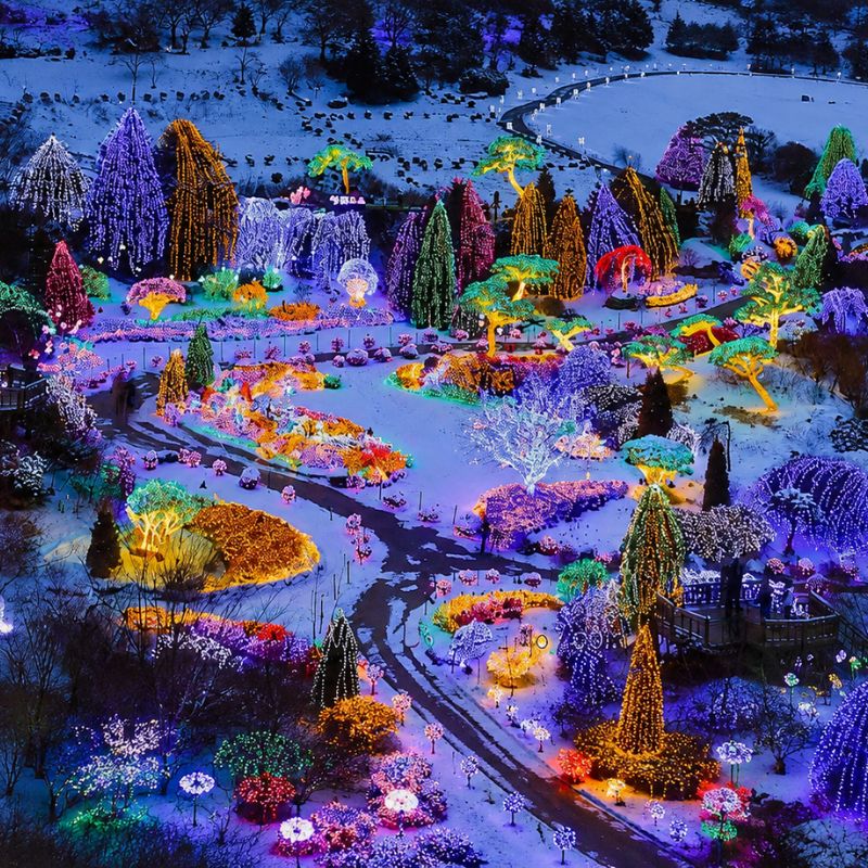 โปรแกรมทัวร์เกาหลี ลานสกี เทศกาลประดับไฟ THE GARDEN OF MORNING CLAM 5 วัน 3 คืน (XJ)