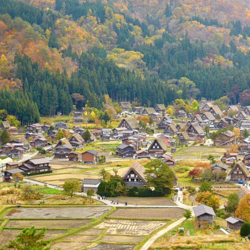โปรแกรมทัวร์ญี่ปุ่น AUTUMN BLEND KAMIKOCHI 7 วัน 4 คืน (SQ)