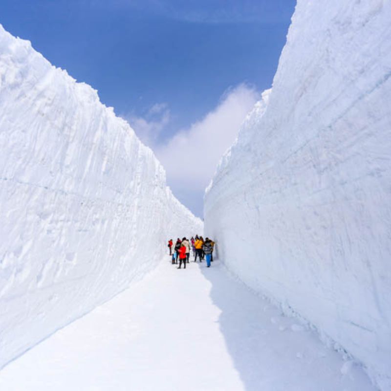ทัวร์ญี่ปุ่น TOKYO DISNEYLAND JAPAN ALPS 7 วัน 5 คืน (SQ)