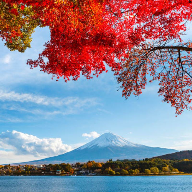 ทัวร์ญี่ปุ่น TOKYO อาซากุสะ โอไดบะ ช้อปปิ้ง DOUBLE FREEDAY 5 วัน 3 คืน (XJ)