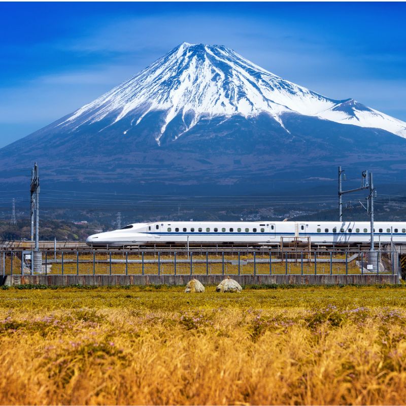 ทัวร์ญี่ปุ่น HOKKAIDO AOMORI TOKYO OPEN AIR BUS 9 วัน 6 คืน (JL)