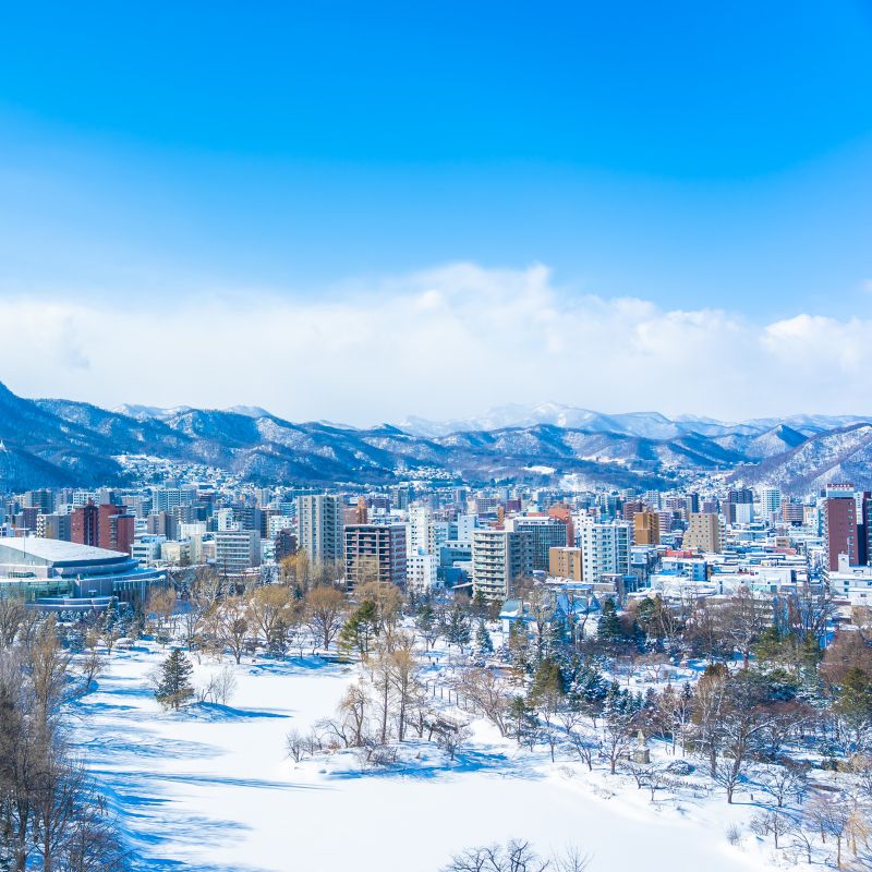 โปรแกรมทัวร์ญี่ปุ่น HOKKAIDO...โนโบริเบ็ทสึ โทยะ ซัปโปโร NEW YEAR 5 วัน 3 คืน (XJ)