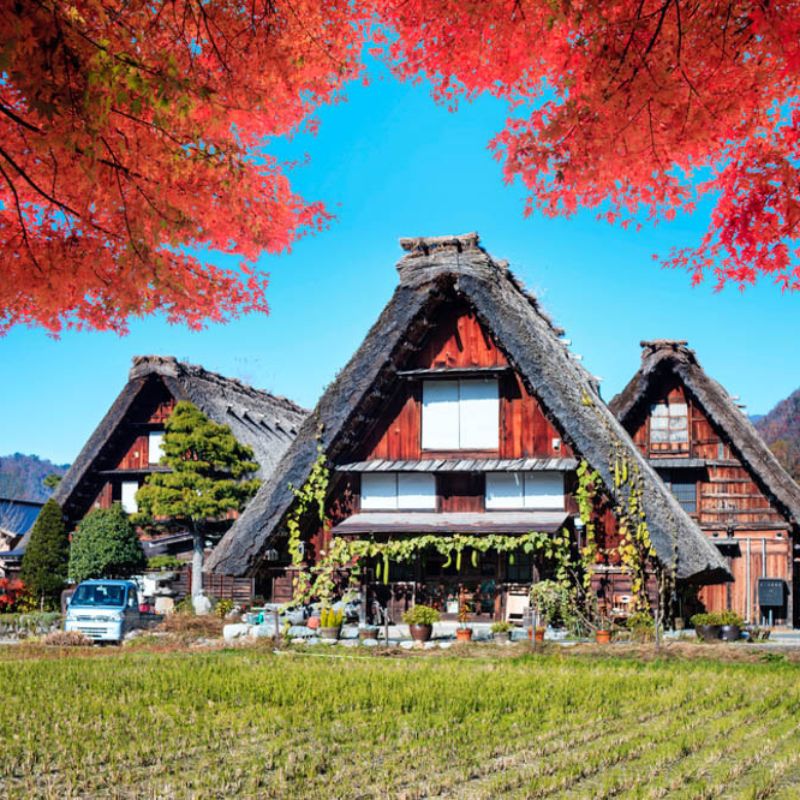 โปรแกรมทัวร์ญี่ปุ่น SECRET AUTUMN TOKYO 8 วัน 5 คืน (SQ)