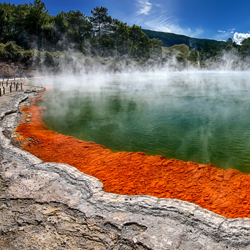 โปรแกรมทัวร์นิวซีแลนด์ เกาะเหนือ อ๊อคแลนด์ โรโตรัว เทาโป 6 วัน 4 คืน (TG)