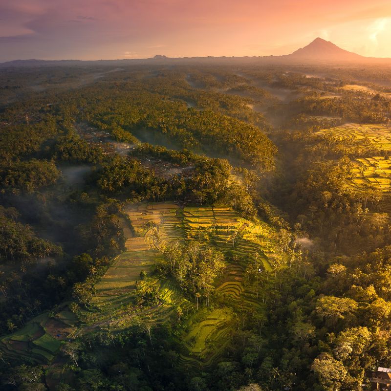 โปรแกรมทัวร์อินโดนีเซีย BALI สัมผัสมนต์เสน่ห์ธรรมชาติ 4 วัน 3 คืน