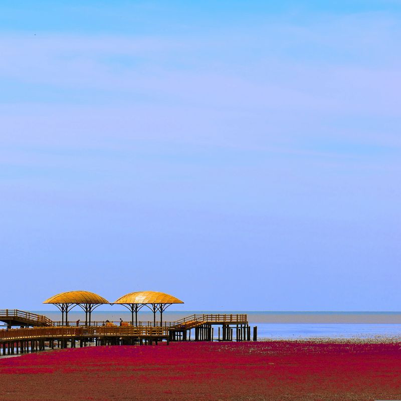 โปรแกรมทัวร์จีน เสิ่นหยาง ฉางชุน หาดหญ้าแดงผานจิ่น ภูเขาฉางไป๋ซาน 6 วัน 5 คืน (CZ)